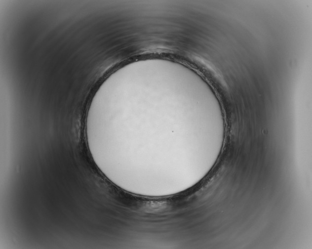 X0000091571313200709171050