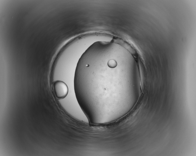 X0000091571320200709171050