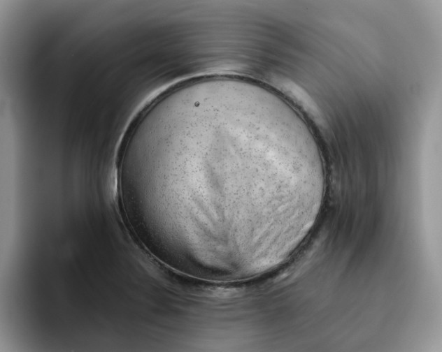 X0000091571324200709171050