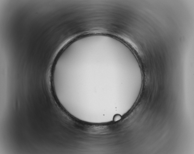 X0000091571325200709171050