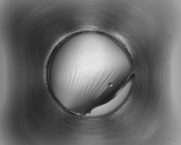 X0000091571326200709171050