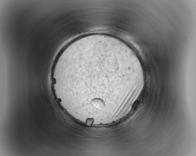 X0000091571328200709171050