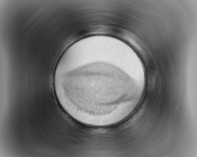 X0000091571329200709171050