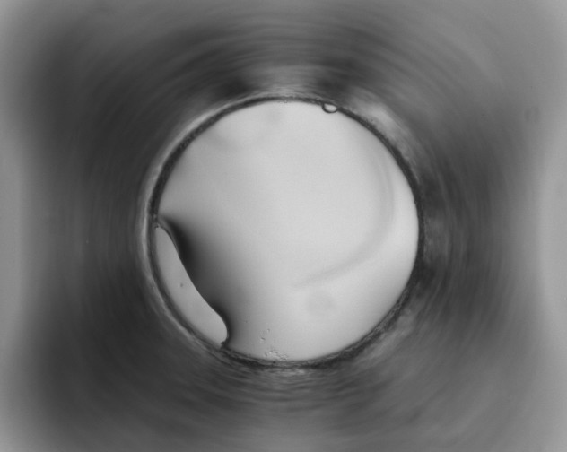 X0000091571331200709171050