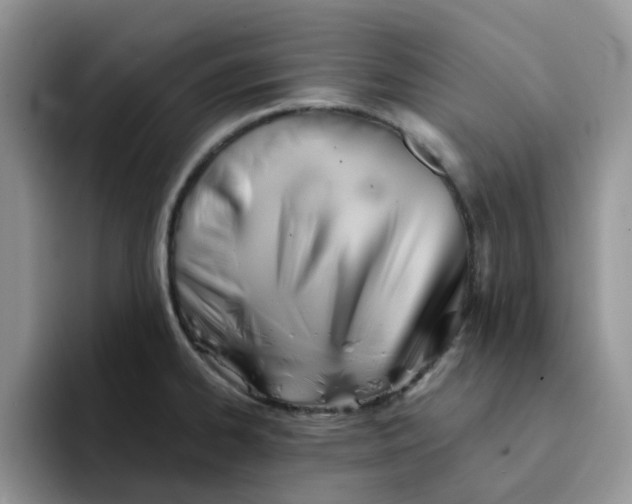 X0000091571334200709171050