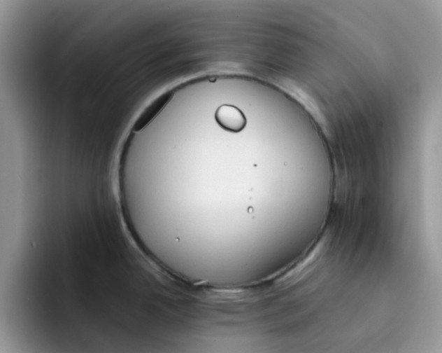 X0000091571342200709171050