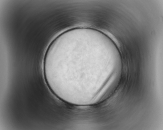 X0000091571343200709171050