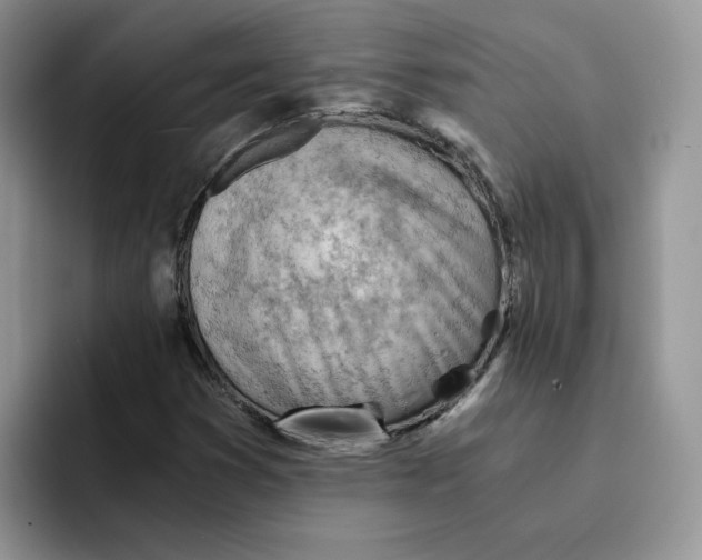 X0000091571353200709171050