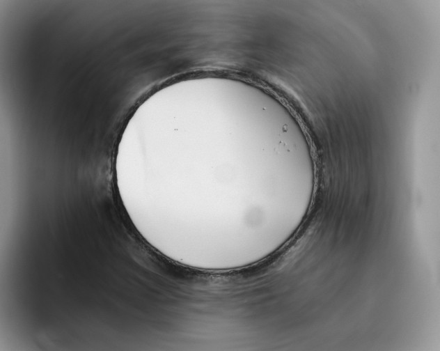 X0000091571355200709171050