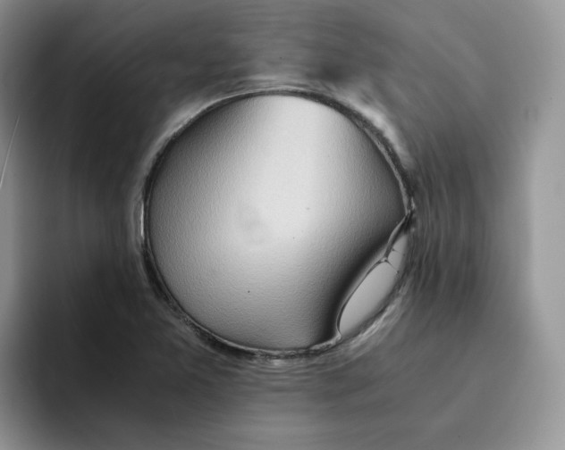 X0000091571365200709171050