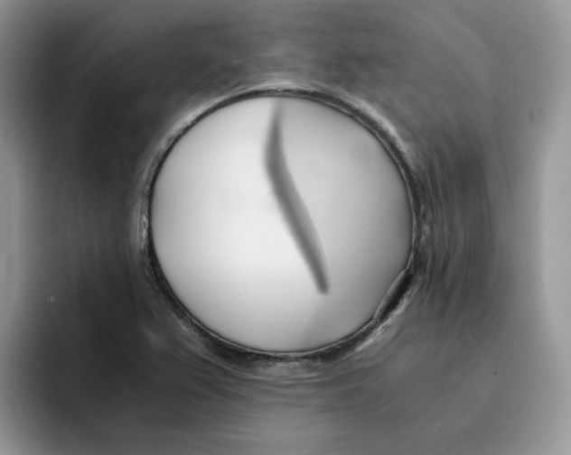 X0000091571367200709171050