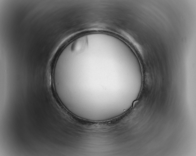 X0000091571368200709171050