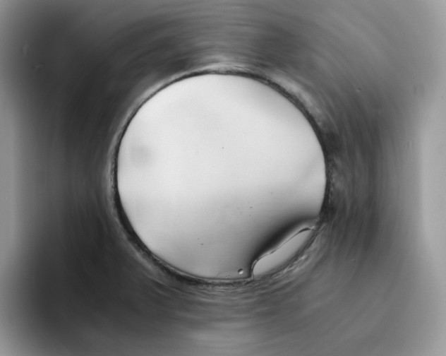 X0000091571375200709171050