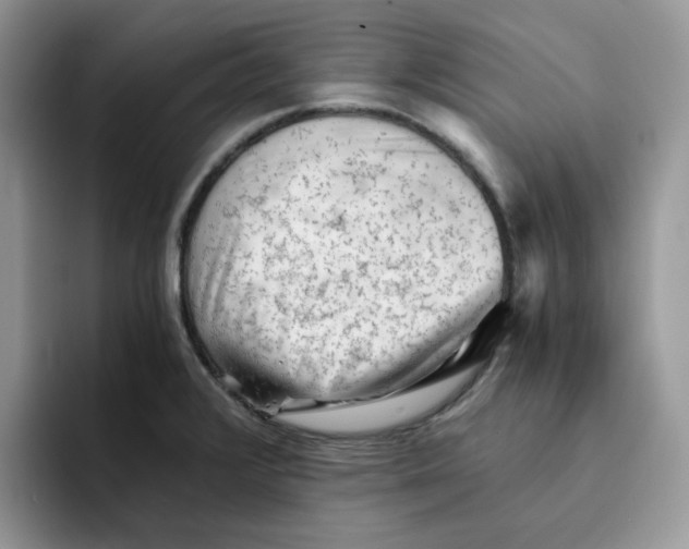 X0000091571376200709171050