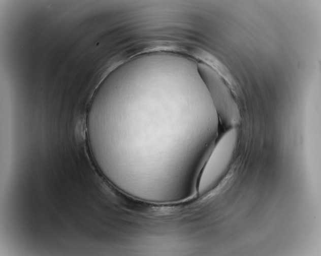 X0000091571377200709171050