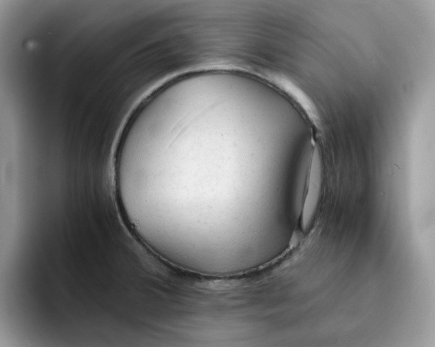 X0000091571380200709171050