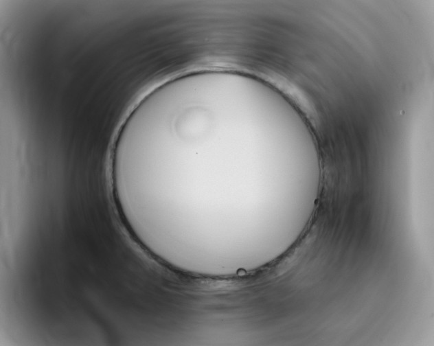 X0000091571382200709171049