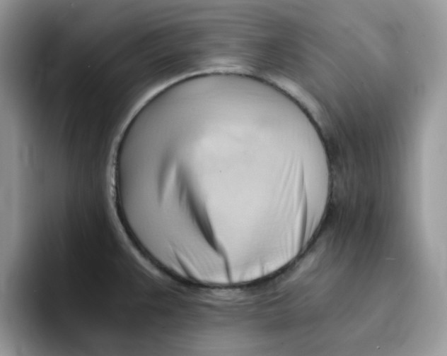 X0000091571383200709171049