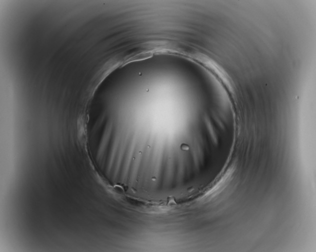 X0000091571385200709171049