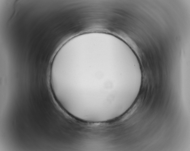 X0000091571390200709171049