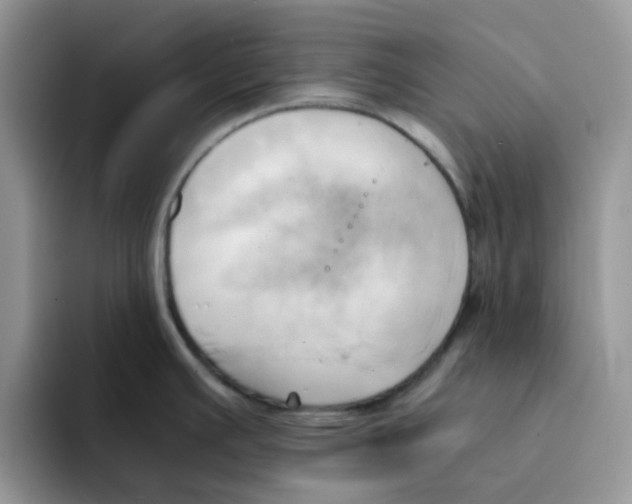 X0000091571391200709171049