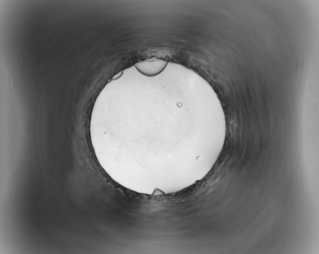 X0000091571393200709171049