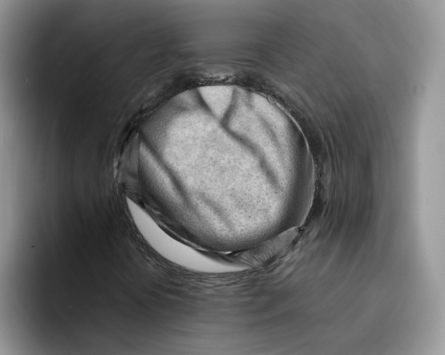 X0000091571394200709171049