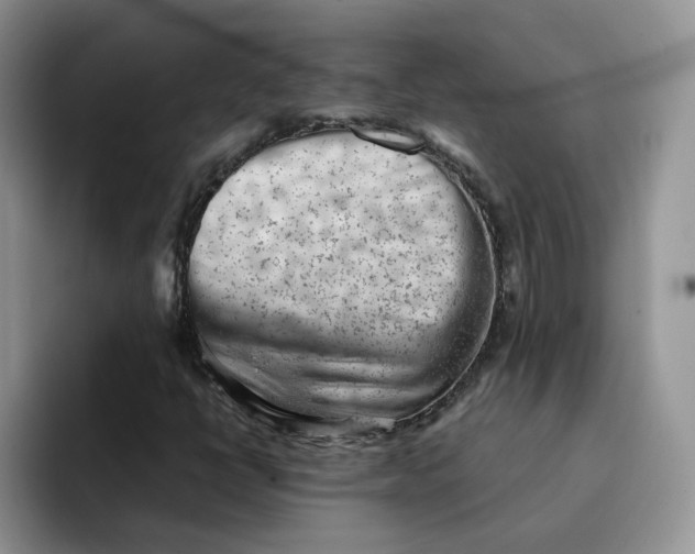 X0000091571398200709171049