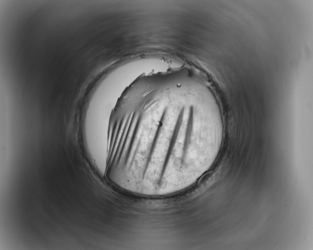 X0000091571402200709171049