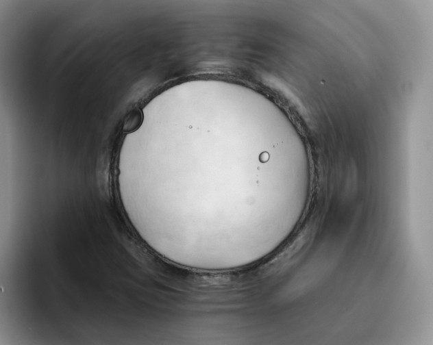 X0000091571403200709171049