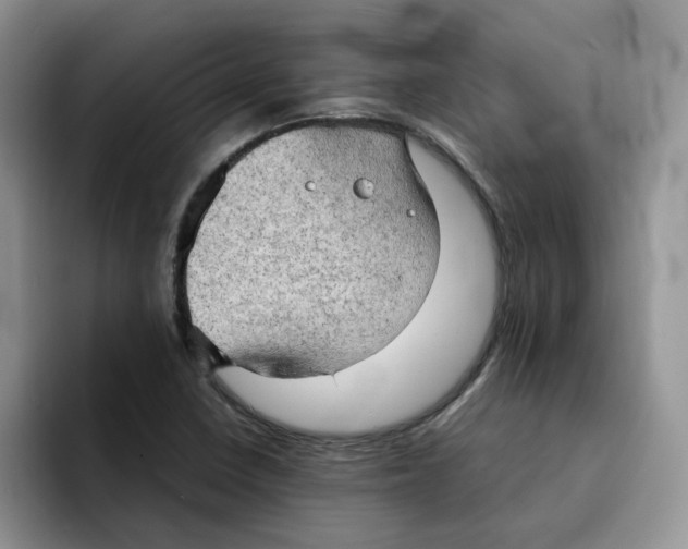 X0000091571410200709171049