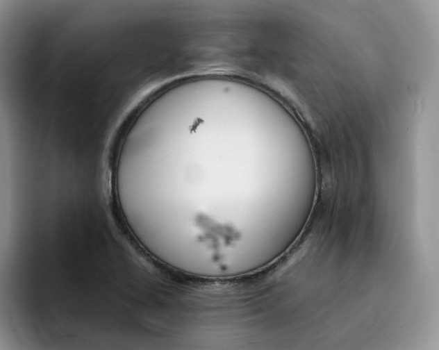 X0000091571414200709171049