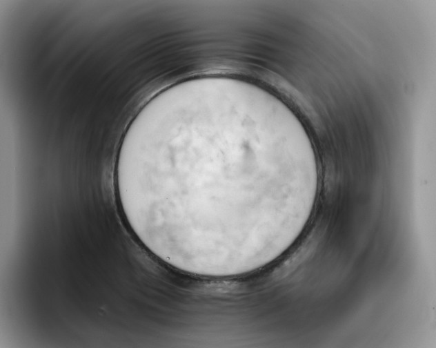 X0000091571417200709171049