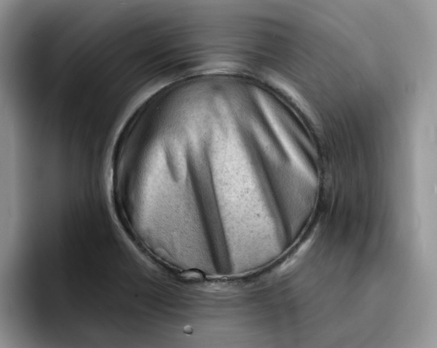 X0000091571418200709171049