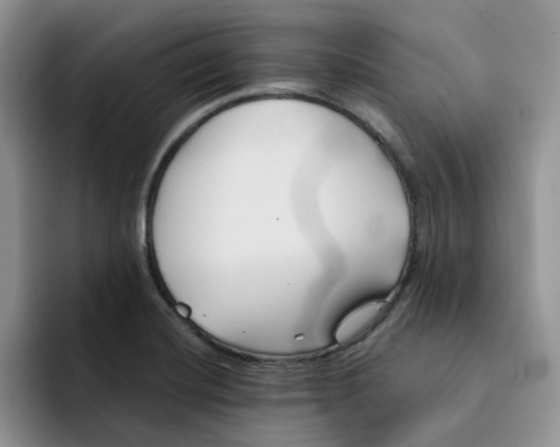 X0000091571420200709171049