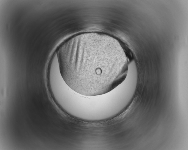 X0000091571422200709171049