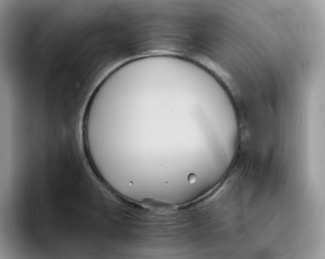 X0000091571423200709171049