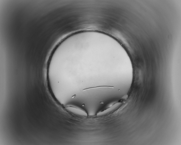 X0000091571424200709171049