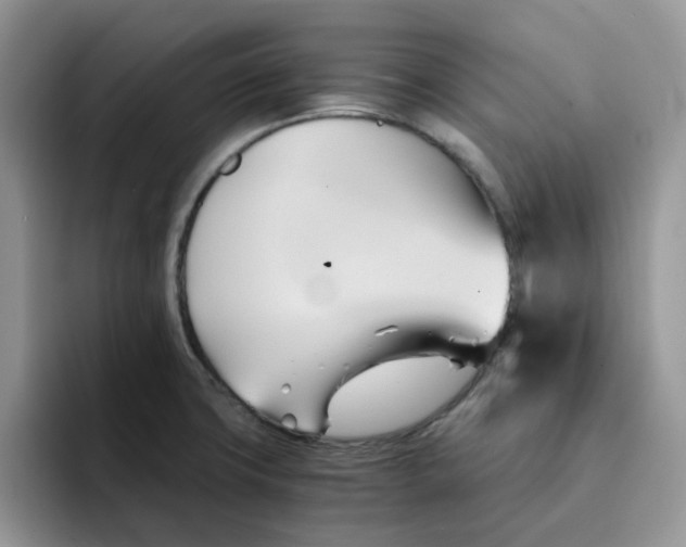 X0000091571427200709171049