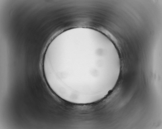 X0000091571429200709171049