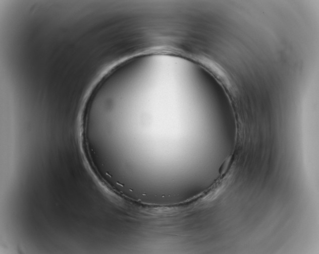 X0000091571430200709171049