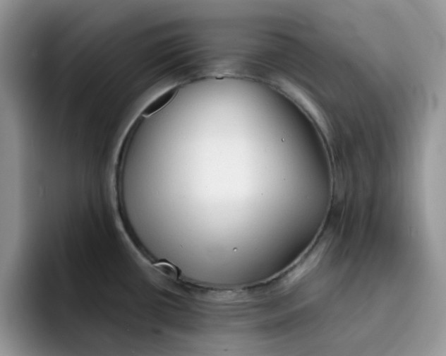 X0000091571434200709171049