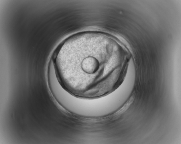 X0000091571438200709171049