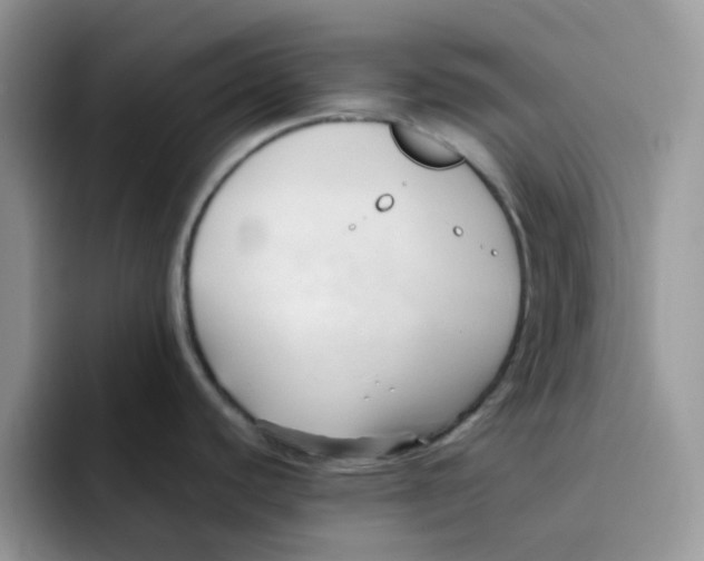 X0000091571440200709171049