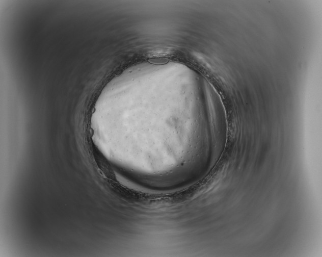 X0000091571441200709171049