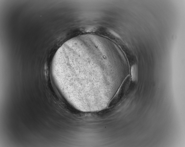 X0000091571443200709171049