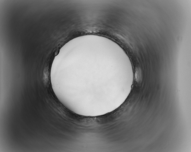 X0000091571444200709171049