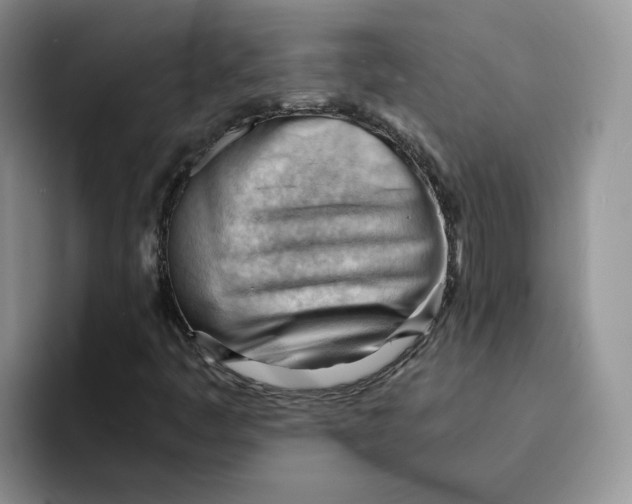 X0000091571445200709171049