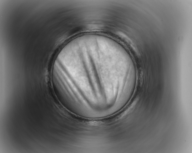 X0000091571449200709171049