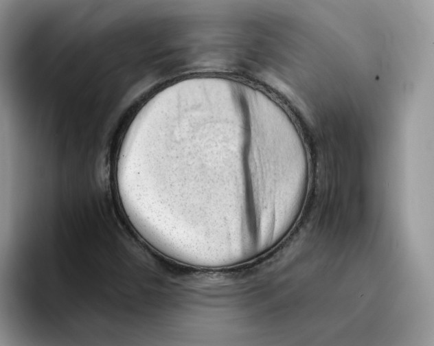 X0000091571450200709171049